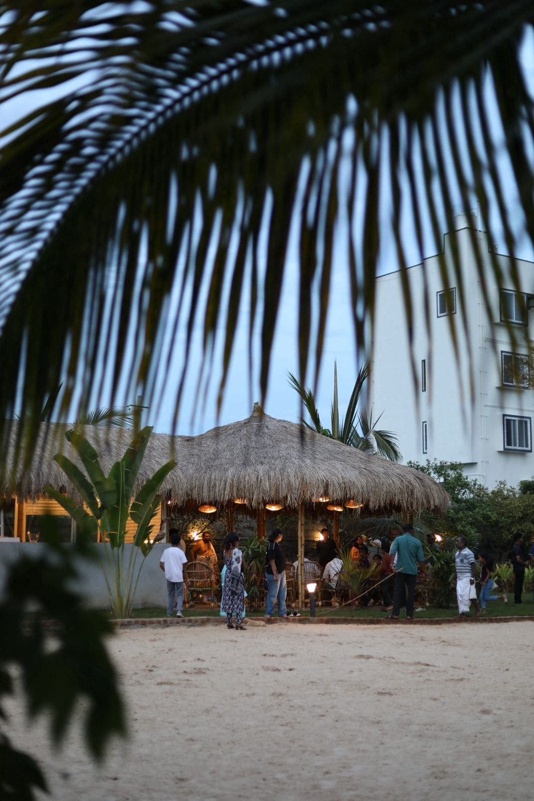 Inside the Dinklr tropical café